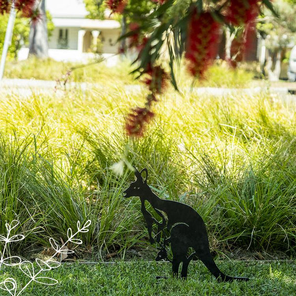 Animalia Art - Kangaroo
